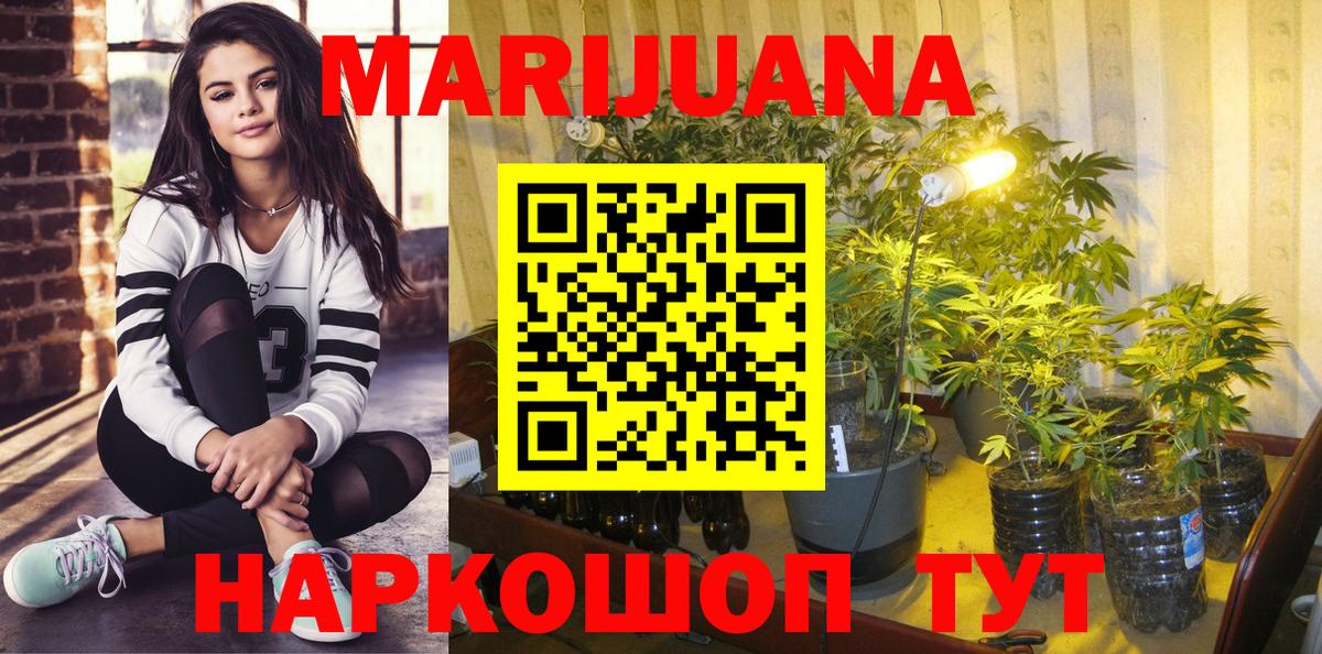 Елабуга  Бошки Шишки гибрид  Бошки Шишки сатива  Бошки Шишки THC 21%  Вход с VPN 